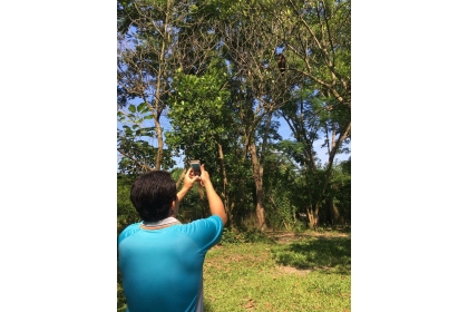新化林場場長吳佾鴻也拿出手機拍大冠鷲，他說是第一次看到大冠鷲這麼靠有人的地方。記者吳淑玲／攝影