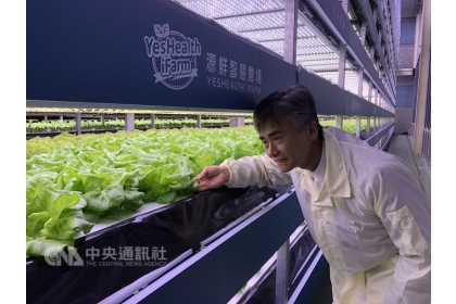 位於桃園的源鮮智慧農場占地約800坪，日產量達1.6噸，將成為台灣第一家在英國設廠的植物工廠。圖為董事長蔡文清仔細檢查園內蔬菜。中央社記者李欣穎攝