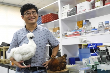 陳志峰與中興大學保種的土雞品系—— 絲羽烏骨雞，這是有1,500 年歷史記載的品種。