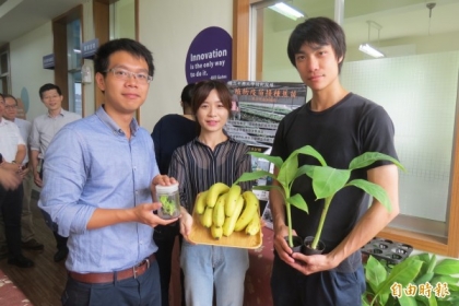 【自由時報】培育植物疫苗接種蕉苗的楊佳慈團隊已獲進駐基地的校友創投資助。（記者蘇孟娟攝）