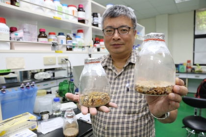 興大森林學系王升陽特聘教授展示固態培養牛樟芝菌絲體及其製成之錠劑