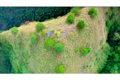 An aerial view of vegetation photogrpahed for the documentary Bao Dao is pictured in an undated photograph. /Photo courtesy of director Chan Chia-lung