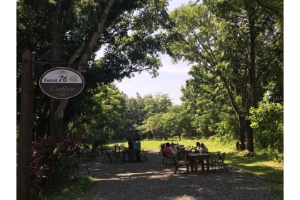 中興大學新化林場「Forest76」咖啡開賣，遊客坐擁整座桃花心林森林。記者吳淑玲／攝影
