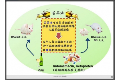 【中央社】苦茶油含豐富的油酸及植物化學成分，有東方橄欖油的美譽，中興大學研究證實，苦茶油可有效降低酒精造成的急性胃黏膜損傷。圖為苦茶油功效示意圖。（圖取自中興大學網站www.nchu.edu.tw）