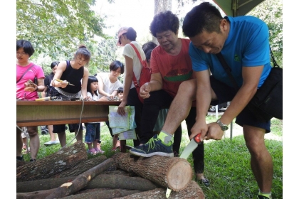 「惠蓀木文化節」今登場，假日則有闖關遊戲和攀樹活動等，供遊客免費體驗。