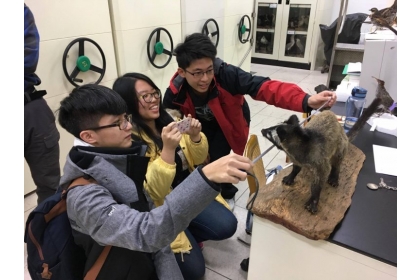 學生（游富祥、賴韋婷、呂智捷）到特生中心先量測動物標本大小，確認目標動物的身長、眼高等。圖／By 蔣雅郁