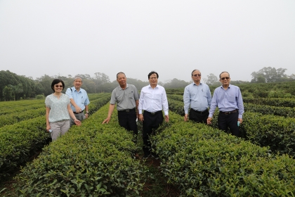 興大黃振文副校長（右1）帶領團隊提供三義靜思茶園農業技術輔導