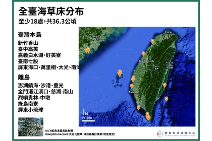 海草床也可作為碳匯、減碳的重要資產。新興科技媒體中心提供。