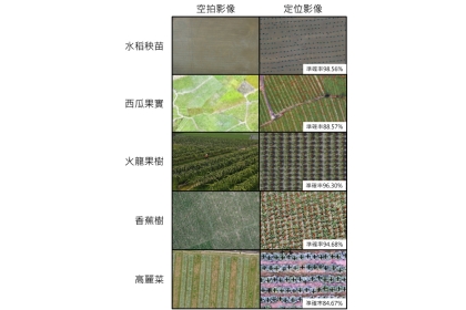 楊明德團隊開發的「植株定位技術」應用於多樣農作物數量調查，結合AI物件偵測與影像處理技術後，約有90%準確率，水稻秧苗高達98.56%。