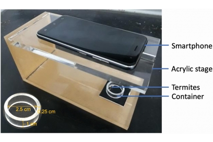 A team of researchers in Taiwan has developed software driven by machine learning to accurately identify specimens—both soldiers and workers—of four different termite species. Their goal is to enable smartphone app termite ID for pest management pros and