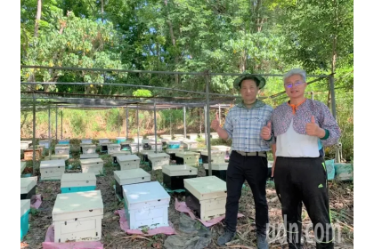 中興大學新化林場場長吳佾鴻（左）與嘉義縣阿里山原住民農林生產合作社理事汪志敏合作，在150公頃桃花心木造林，實驗自然放養蜜蜂採收森林蜜，期開創林下經濟新產業。記者吳淑玲/攝影