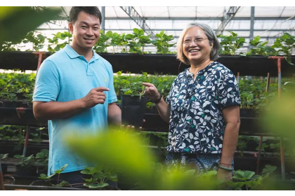 中興大學園藝學系教授宋妤（右）將根溫控制技術，引入青農黃文慶經營的沐光農場，進行溫室草莓的試驗。
