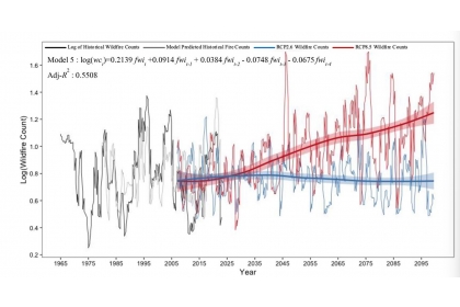 The observed and projected wildfire occurrences in Taiwan from 1964 to 2099, considering various climate change scenarios.