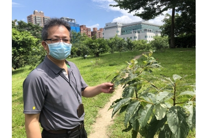  從學界轉任農委會林試所長，將一身功能貢獻植物保育，他對植物的理解格外引人注目。攝影：廖靜蕙