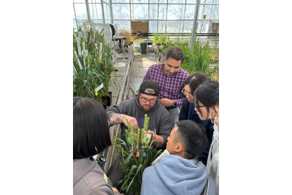 研究人員展示如何透過Doubled Haploid技術進行小麥人工育種 (攝於 Wheat Innovation Center 小麥創新研究中心)。