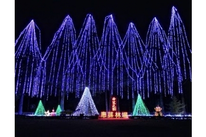 惠蓀林場「希望之樹」是以7棵高約20公尺的台灣杉，搭配上萬顆的LED燈泡裝飾而成，號稱全台最高與最天然的耶誕樹。（中興大學惠蓀林場提供）