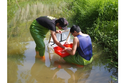 New Breakthrough in Stream Ecological Research!  The National Chung Hsing University and National Tsing Hua University Team Explored Houlong River Ecosystem