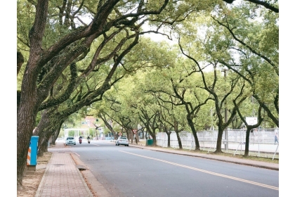 中興新村花園城市景觀適合文教發展，中興大學希望爭取設立分部。 記者江良誠／攝影