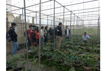 興大農推中心與農服團合作 外籍生體驗台灣多元農業文化