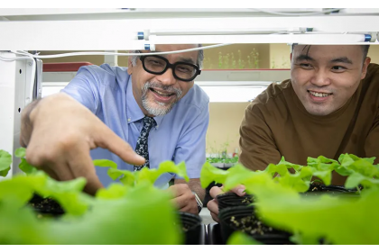 中興大學生命科學院副院長黃介辰（左）表示，生物刺激素直接調控植物體的基因表現而改變其農藝性狀，具有取代基轉作物的潛能。