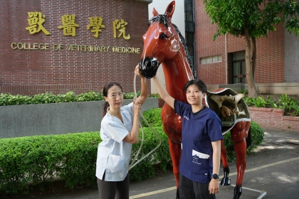興大獸醫學院充等比例馬匹仿生教具,負責規劃的林以樂教師(左)及助教與馬匹教具合影。