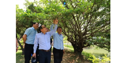 【公關組】中興湖流蘇樹起死回生 重現湖畔四月雪美景 - 國立中興大學(National Chung Hsing University)