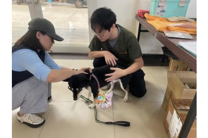 獸醫團隊於現場替犬貓進行健康檢查、施打疫苗與相關診療,醫療人員細心處置,讓飼主安心就醫。(圖/文:鄭禮頤)
