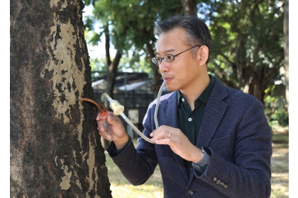 中興大學昆蟲學系教授李後鋒團隊找出白蟻蟻道成份