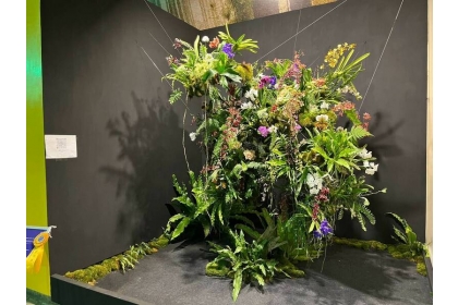 2025台灣國際蘭展競賽得獎花是展場焦點，今年景觀競賽學生組由中興大學「蘭嶼山行」奪冠。（市府提供）