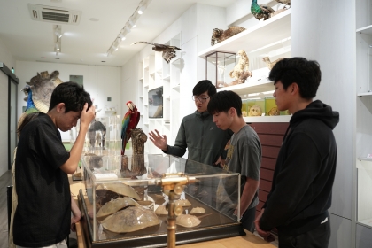 神戶大學師生參觀自然史博物館