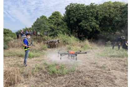 縣府採用無人機噴藥防治荔枝椿象。（記者顏宏駿攝）