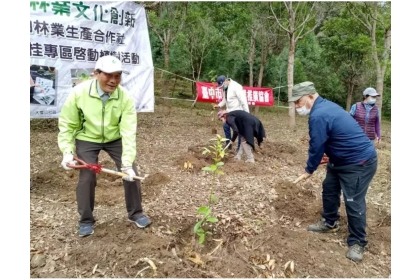 東勢林管處今天於和平中坑里里民種下土肉桂，推動多元林業利用及產業化。圖／東勢林管處提供