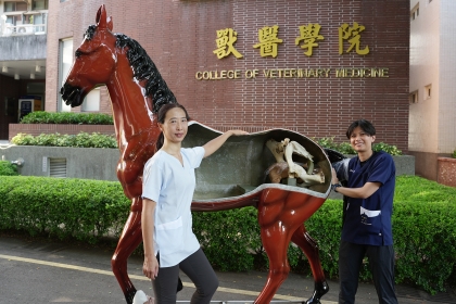 興大獸醫學院擴充等比例馬匹仿生教具,負責規劃的林以樂教師(左)及助教與馬匹教具合影。