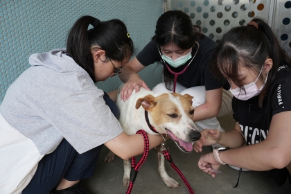 National Chung Hsing University’s USR ‘Veterinary Volunteer Clinic for Companion Animals‘  Course Delivers Free Clinic Service to Houli Shelter 