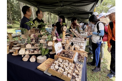 2025 Huisun Wood Culture Festival Kicks Off with Joy