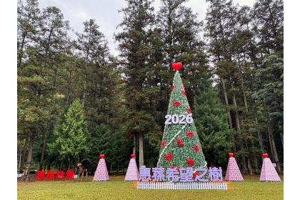 惠蓀林場12月19日舉辦2026希望之樹感恩點燈活動，希望之樹將閃亮到明年2月28日，