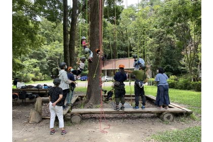 惠蓀林場兒童節連假推出攀樹體驗