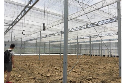 【中國時報】示範溫室挑高7公尺，針對抵抗強颱設計，未來可栽種出高品質的蔬果。