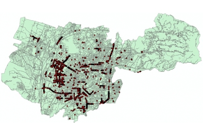 Distribution map of blackboard trees (Alstonia scholaris) in Taichung City, where they account for the highest proportion of urban forests at approximately 10%.