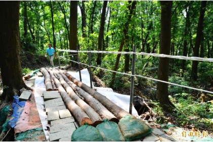 新化林場以風倒的小徑木，修復受災、毀損的步道。（記者吳俊鋒攝）