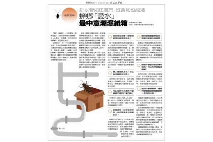聯合報元氣周報-蟑螂專題