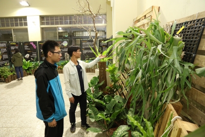 中興大學「攀朵拉」園藝週登場 展出附生植物