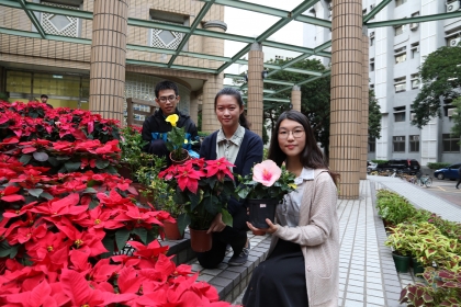 中興大學「攀朵拉」園藝週登場 展出附生植物