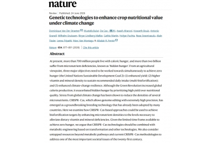 NCHU Yushan Scholar Prof. Wilhelm Gruissem participated in an international review on genetic technologies for improving crop nutrition under climate change, published in Nature.