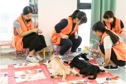 學生助理需監測動物從麻醉中安全甦醒。圖片來源／興大獸醫系USR計劃