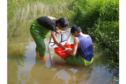 研究團隊在野外調查以蘇伯式水網採集水生昆蟲
