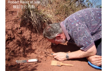 羅伯賴茲（Robert Reisz）院士採集化石情況。