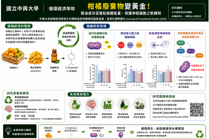 論文摘要圖解