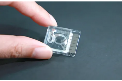 茂盛醫院攜手中興大學成功研發全球首創「非侵入式胚胎粒線體檢測平台」 榮獲第22屆國家新創獎肯定。(茂盛醫院提供)