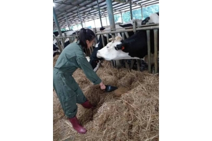 花蓮高農學生傅竹迎喜歡大型動物，立定目標，如願錄取國立中興大學獸醫系。圖／花蓮高農提供